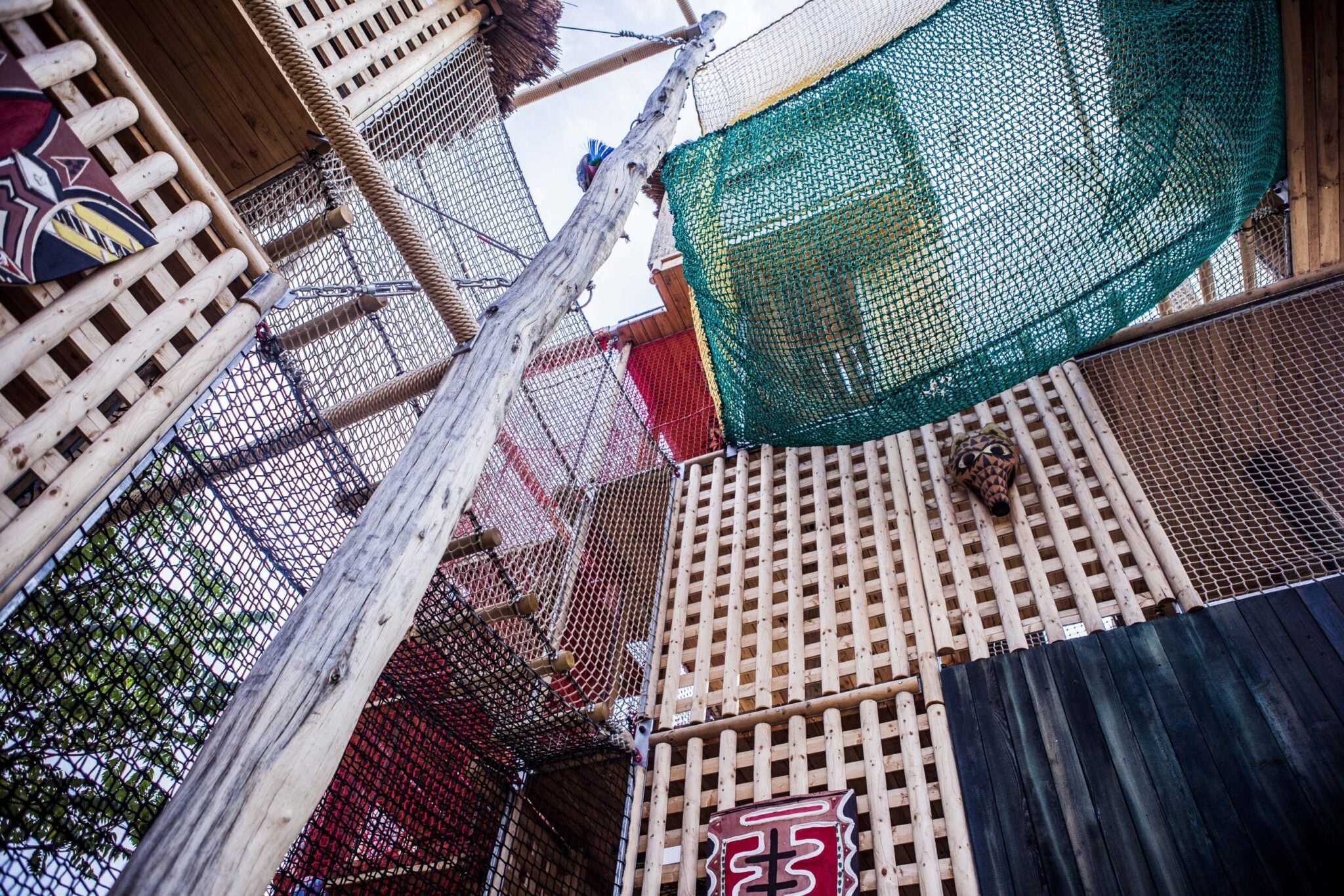 _MG_9536